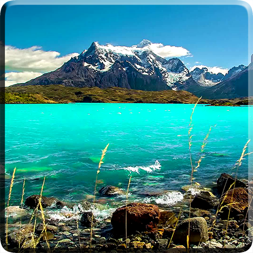 Landscape Video Live Wallpaper logo