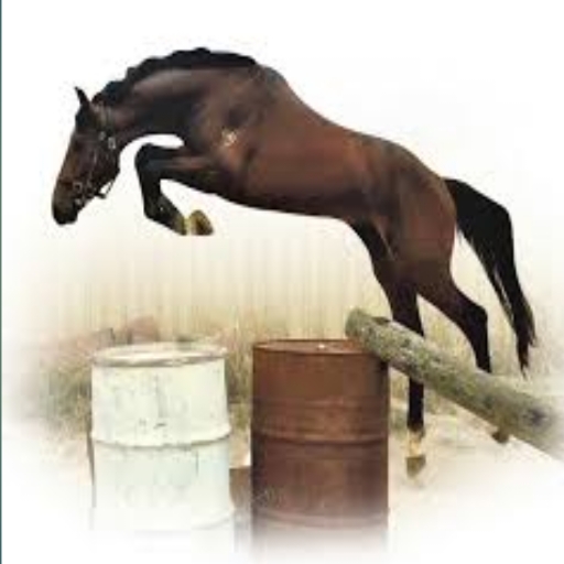 Barrel Jump logo