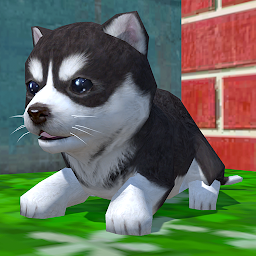 Imagem do ícone Cute Pocket Puppy 3D