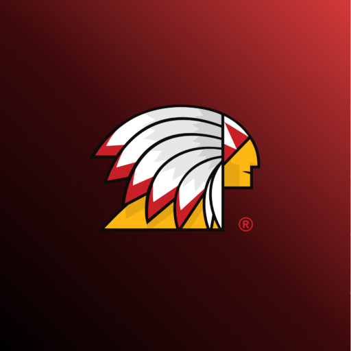 Indian Facturacion logo