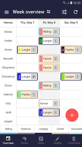 EquineM Screen 2
