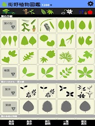 街野植物図鑑　1100種版