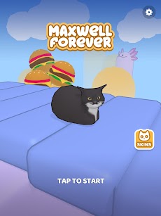 Maxwell Forever - Cat Gameのおすすめ画像5