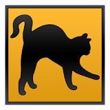 Cats of the world icon