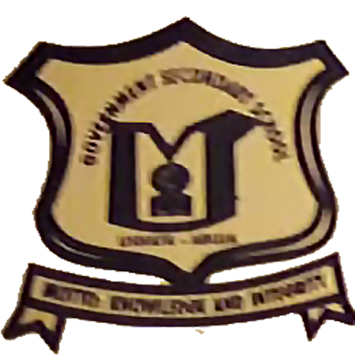GSS Ushafa logo