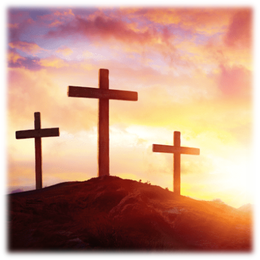 The New Way of the Cross Скачать для Windows