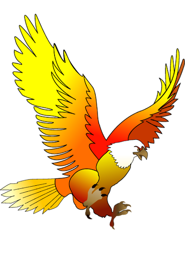 King Bird KSA / OPC50005 Screen 2