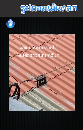 รวมรูปคอมเม้นตลก Screen 3