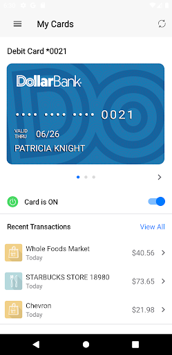 Dollar Bank Card Control Screen 2