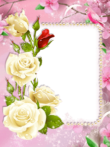 Lovely Flowers Photo Frame 1.0 APK + Мод (Unlimited money) за Android