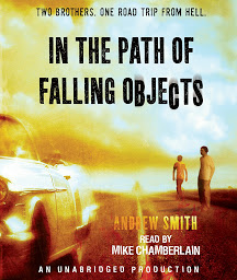 Icon image In the Path of Falling Objects