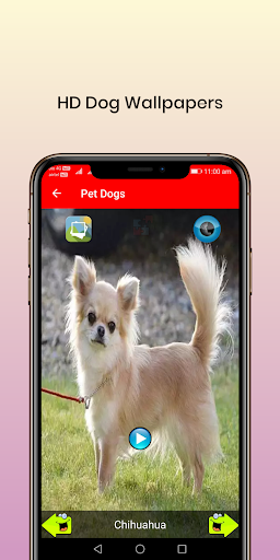 50 Dog sounds Screen 3