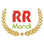 RR Mandi