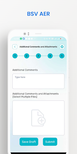 BSV AER Screen 3