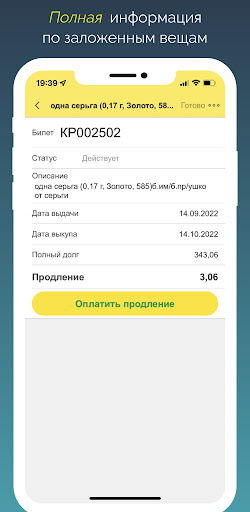 Ломбард Бирюза Screen 3
