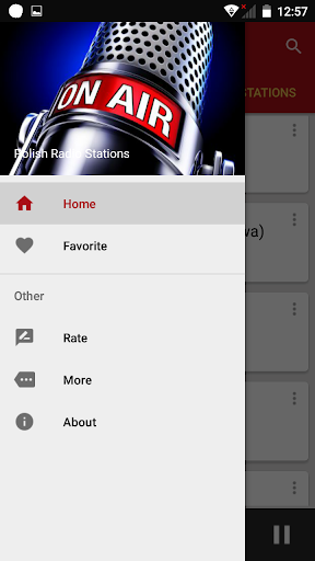 Polish Radio Stations Screen 3