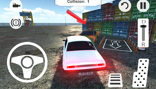 Driving a Car Game Screen 3