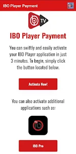 IBO Player Payment
