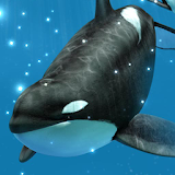 Orca Snow icon