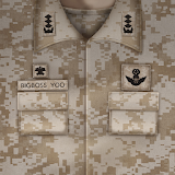 Bigboss’ Uniform Atom Theme icon