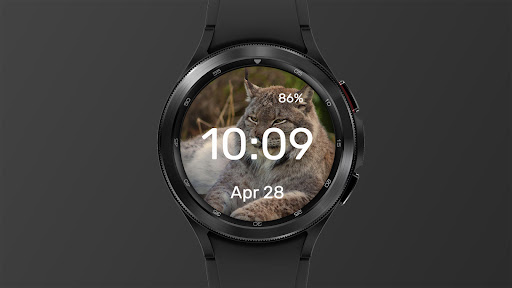 Unhappy Cat - Watch Face