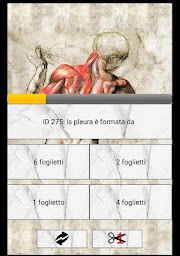 L'Anatomista il quiz Italiano di anatomia
