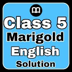 Cover Image of डाउनलोड Class 5 English Solution MCQs  APK