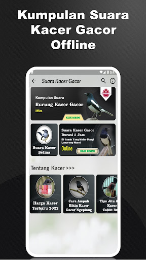 App preview
