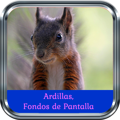 Ardillas, Fondos de pantalla – Apps on Google Play