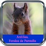 Cover Image of Download Ardillas, Fondos de pantalla  APK