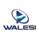 Walesi icon