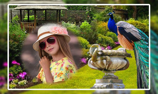 Peacock Photo Frames Screen 2