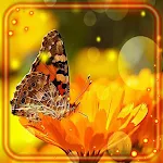 Cover Image of डाउनलोड Butterflies HD Live Wallpaper 1.3 APK