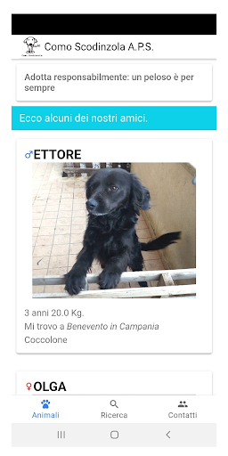Android application Como Scodinzola screenshort