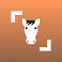 Horse Scanner – Horse Breed Identification11.2.2-G (Premium)