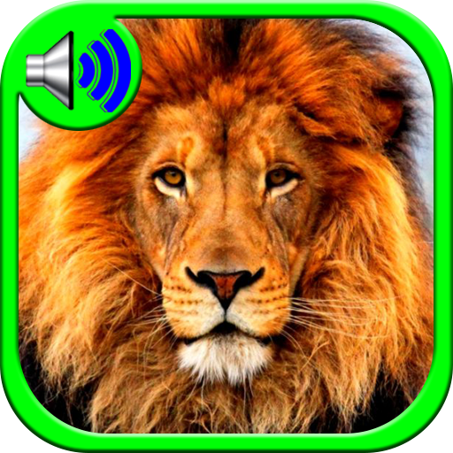 Animal Sounds Alarm Clock Lion 