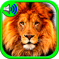 Download Animal Ringtones Free for Android - Animal Ringtones APK Download  