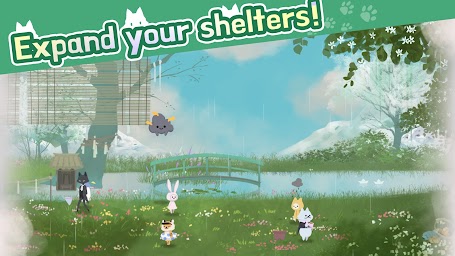 Cat Shelter and Animal Friends