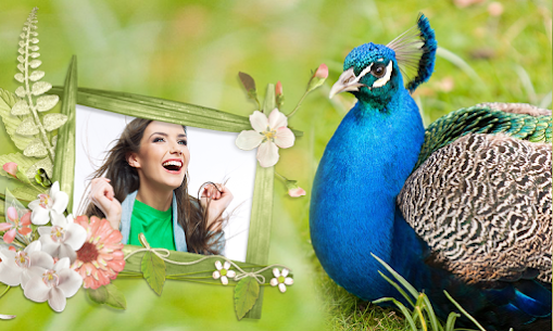 Peacock & Nature Photo Frames v2.3 Mod Apk (Free Purchase/Premium) Free For Android 1