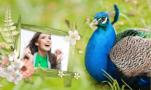 Peacock & Nature Photo Frames
