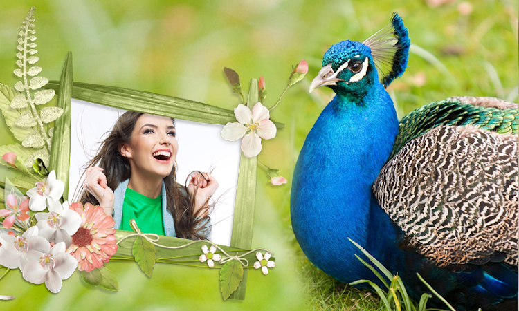 Peacock & Nature Photo Frames - 2.4 - (Android)