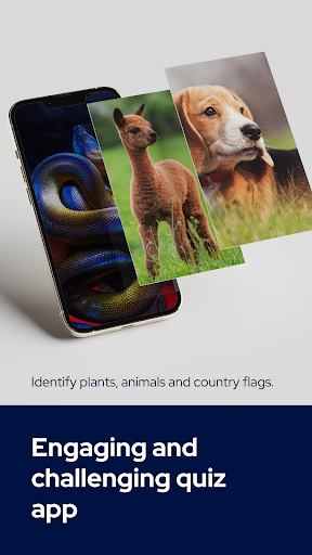 Quiz - Flags, Animals, Plants Screen 2