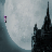 Icon image