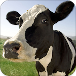 Cover Image of 下载 Cow Sounds 1.6 APK