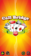 screenshot of Call Bridge Card Game