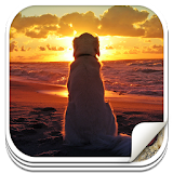Dog Wallpapers Deluxe icon