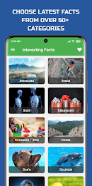 Interesting Facts - Fun Facts poster 17