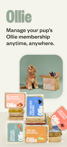 Android application Ollie - Human Grade Dog Food screenshort