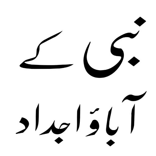 Islamic Books in Urdu offline logo