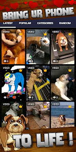 Captura 2 Fondo de pantalla de Bulldog android